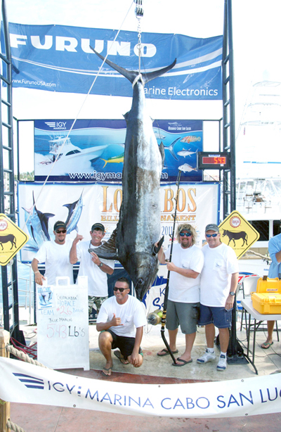 2011 Los Cabos Billfish winner